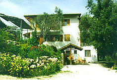 haus.jpg